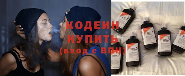 шишки Магас