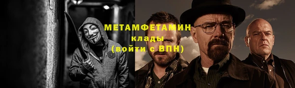шишки Магас