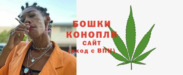 шишки Магас