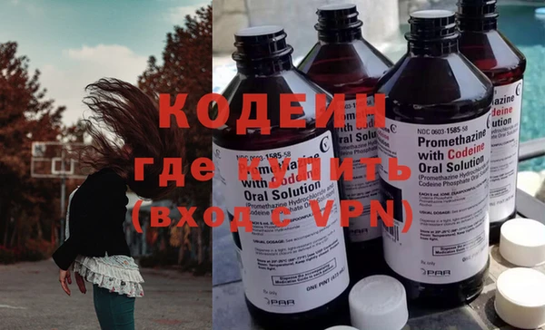 шишки Магас