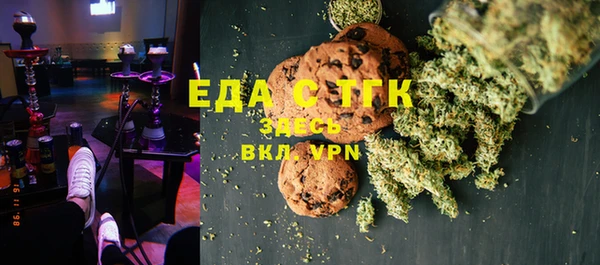 шишки Магас