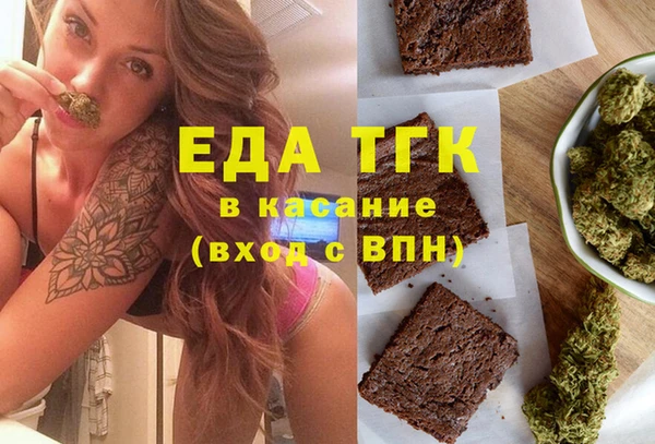 шишки Магас